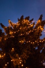 Mikuláš s rozsvícením vánočního stromu